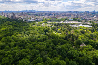 The NYC skyline behind a thick forest of green trees.