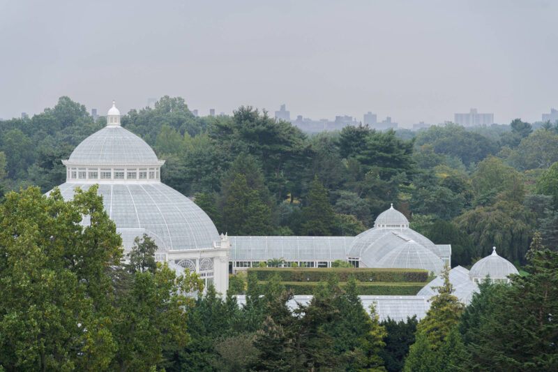 A view of a white conservatory building amid green trees