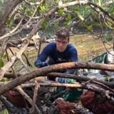 Scientists Brad Oberele works in a restored mangrove in Sarasota, Florida; he is studying a tree branch with water flowing behind him