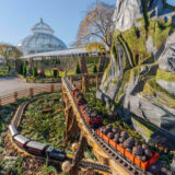 Holiday Train Show outdoor enchanted woodland expansion on the Enid A. Haupt Conservatory Lawn 1:1 Crop