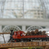 Holiday Train Show model train Enid A. Haupt Conservatory Lawn expansion 1:1 Crop