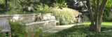 A person using a wheelchair while exploring a green garden space