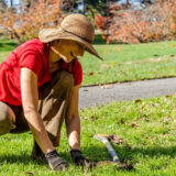 A person in a red shirt and straw brimmed hat plants bulbs in green grass