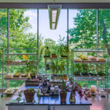 A brightly lit laboratory setting full of scientific equipment, framed by large windows in view of green trees and foliage