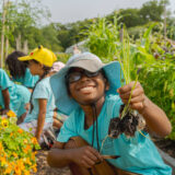 A child in a blue shirt and bucket hat holds up a green vegetable they just harvested in a sunny garden