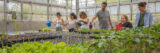 A group of people takes part in a gardening exercise inside a greenhouse