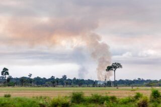 A cloud of smoke caused by trees burning in the Amazon rainforest.