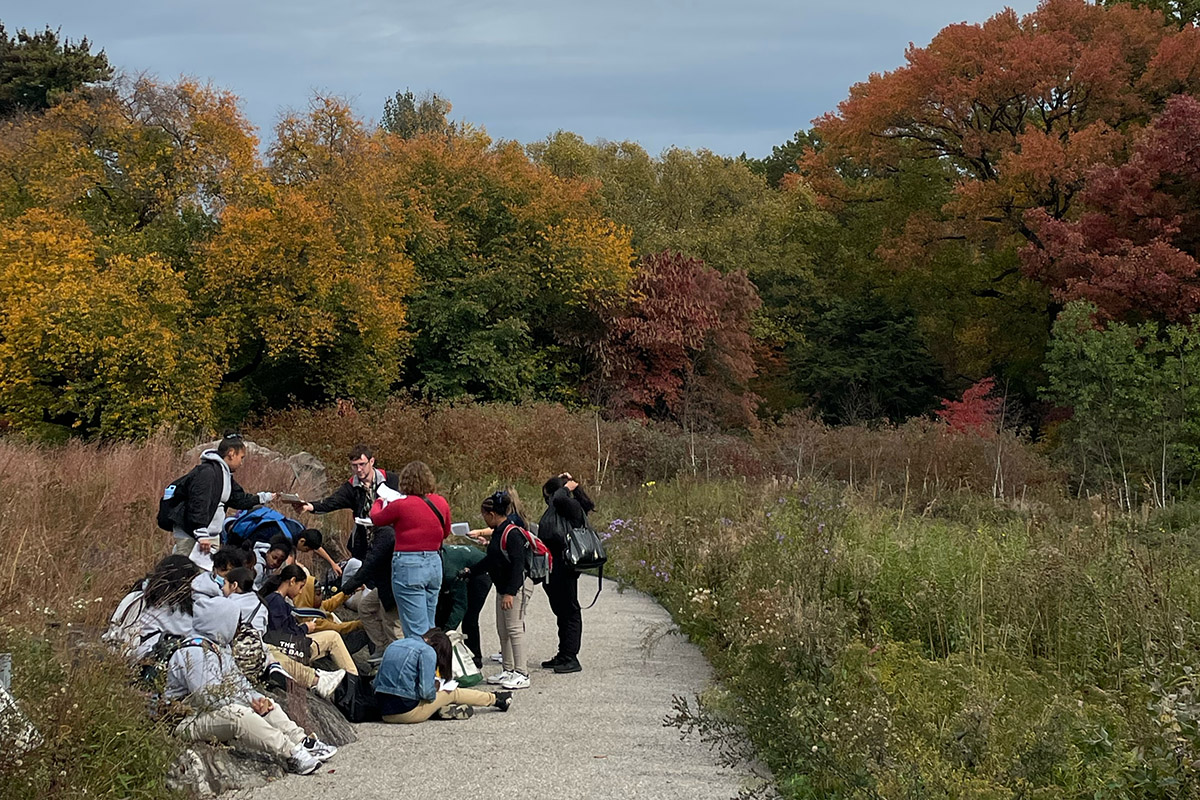 A group of students explores an outdoor garden space in fall