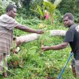 One person handing a palm seedling to another in Vanuatu