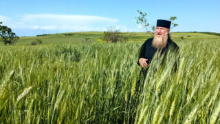 A man in a black outfit and long facial hair stands in the middle of a field filled with tall strands of green grains.