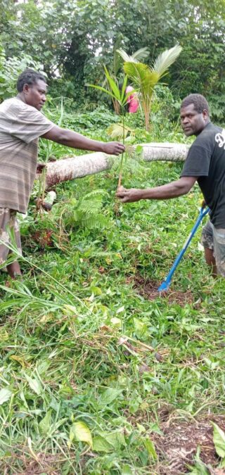 People exchange handfuls of palm saplings in a tropical setting