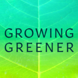 A green image of a leaf with the words 'GROWING GREENER'
