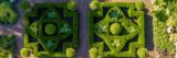 Two geometric shaped garden hedges from an aerial view with a checkered terracotta floor.