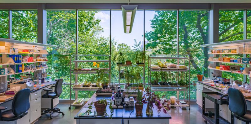 A brightly lit laboratory setting full of scientific equipment, framed by large windows in view of green trees and foliage