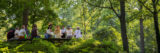 A tour group sits in a circle in a green forest