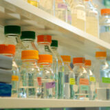 A collection of jars in a laboratory