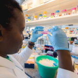 A person examines a set of test tubes in a laboratory