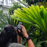 a person with long black hair is taking a photograph of a large and tall green plant
