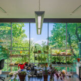 A brightly lit laboratory setting full of scientific equipment, framed by large windows in view of green trees and foliage.