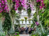 A group of people are standing in the middle of a room inside a windowed conservatory with bright pink flowers framing the space. There are large green plants, and trees all around the sides of them and a person in the middle wearing a blue suit is directing their attention.