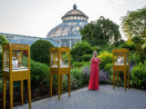 a person in a pink dress stands in a courtyard surrounded by gold cases of jewelry