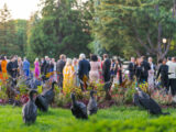 a large group of people mingle on the Conservatory Lawn with black glittering vultures in the foreground