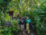 a person in a green shirt leads a group of children on a tour of the Conservatory