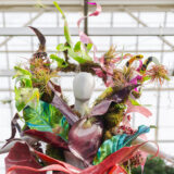 Closeup of The Orchid Show: Florals in Fashion, FLWR PSTL a.k.a. Kristen Alpaugh 1:1