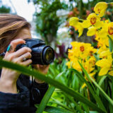 a person holds a camera close to yellow orchids