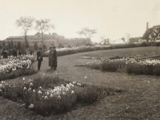 A black and white image of three people standing on Daffodil Hill.