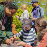 Parents and children pot up plants together in the sunlight