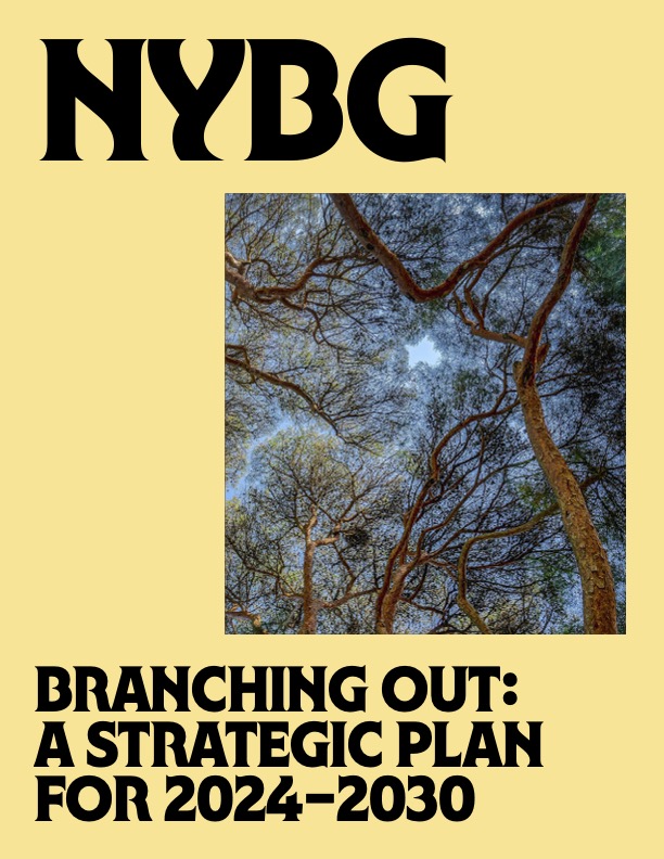 Cover of NYBG Straegic Plan, Branching Out for 2024-2030. Yellow background with a photo of an undershot view of green leaves looking upward and a slight view of blue sky visible through them.