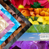 A colorful pride flag depicting various botanical scenes in all the colors of the rainbow