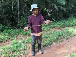 A man in a hat and boots holding a plant with its roots still intact.