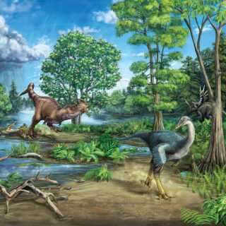 An illustration of two dinosaurs walking on the shore of a lake with ferns nearby.
