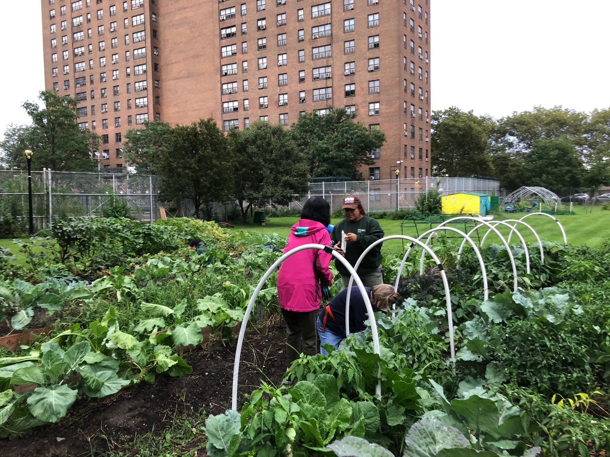 Two people plant seedlings in an urban vegetable garden
