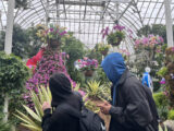 Students in hoodies walk through a conservatory full of plants and pink flowers