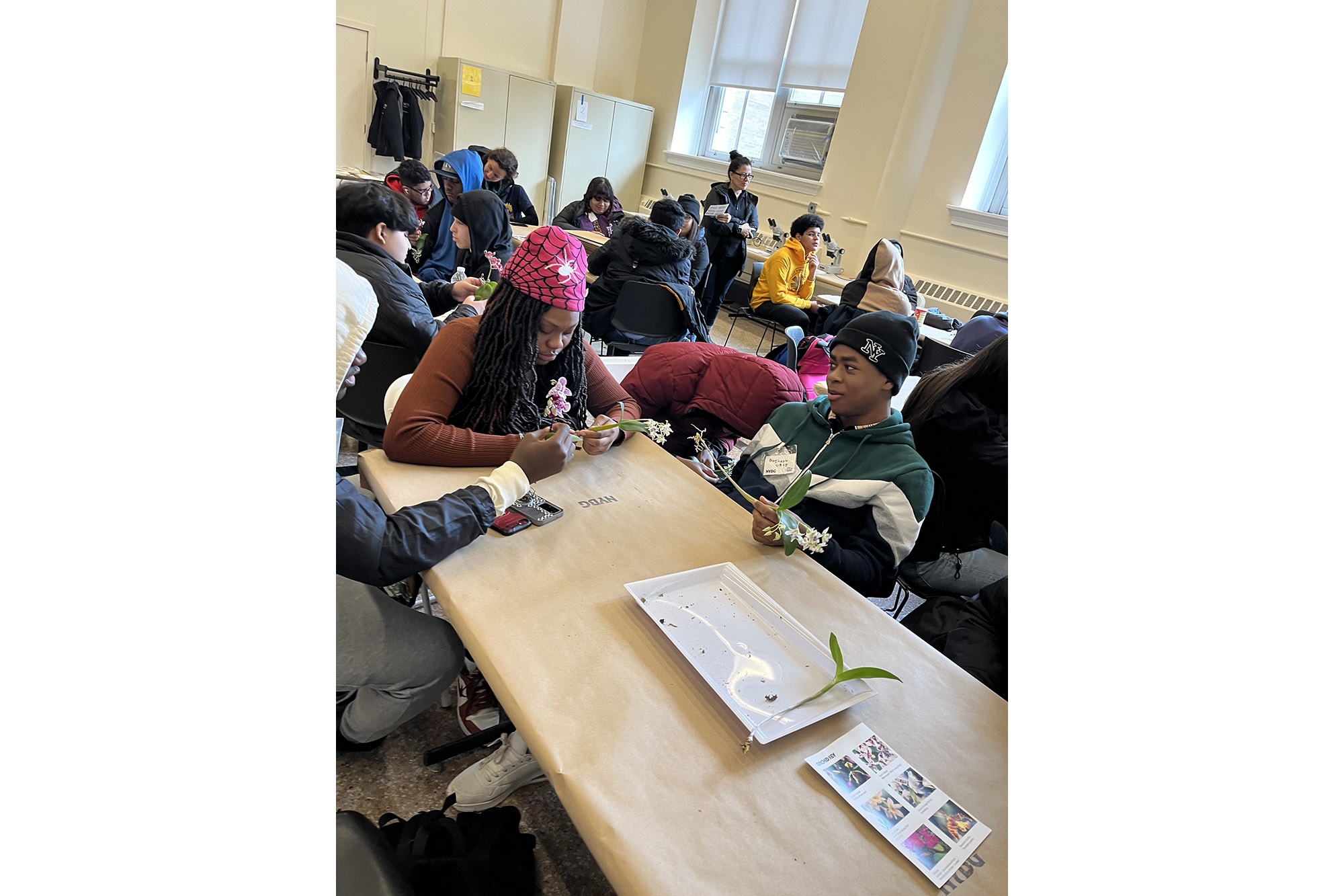 A group of students examine plants and paperwork around a table