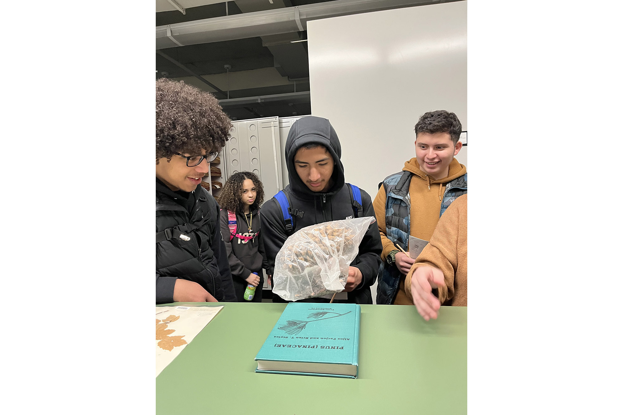 Several students gather around a table to examine herbarium specimens