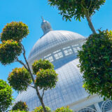 Green topiaries with a bright white conservatory dome under a blue sky in the background