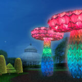 Large, rainbow-colored, illuminated mushroom sculptures light up the night outdoors