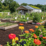 Orange and red flowers pop in the foreground of an outdoor garden center