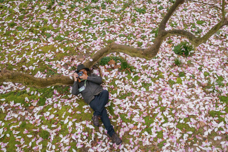 A person in a brown hat and leather jacket lounges against a tree branch, taking photos of the pink flowers overhead
