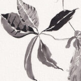 A collection of growing leaves painted with black ink