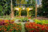 A conservatory space featuring a large circle of colorful flowers around a central fountain, with architectural archways in the background