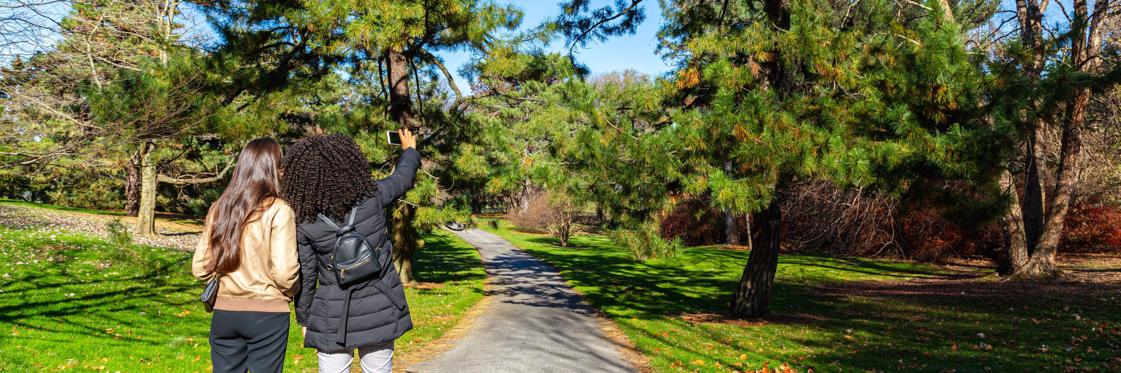 New York Botanical Garden Membership