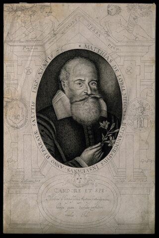 An illustration of a man with a long beard posing for an author's image, in black and white