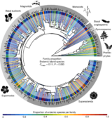 nature publication