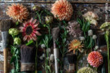 An arrangement of flowers on a dark surface, with paintbrushes