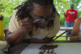 A person uses a magnifying lens to examine brown soil